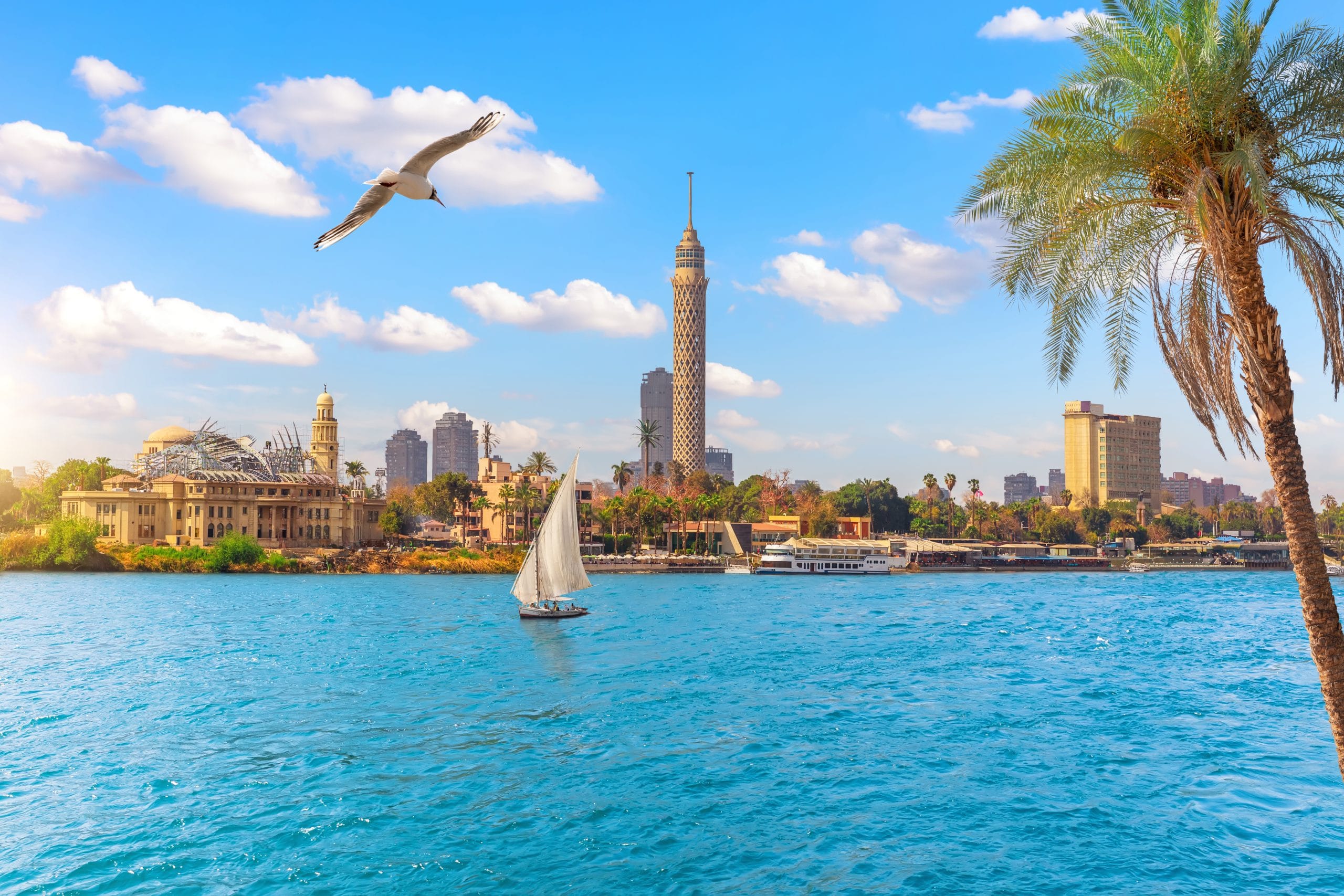 باقات العطلات في مصر