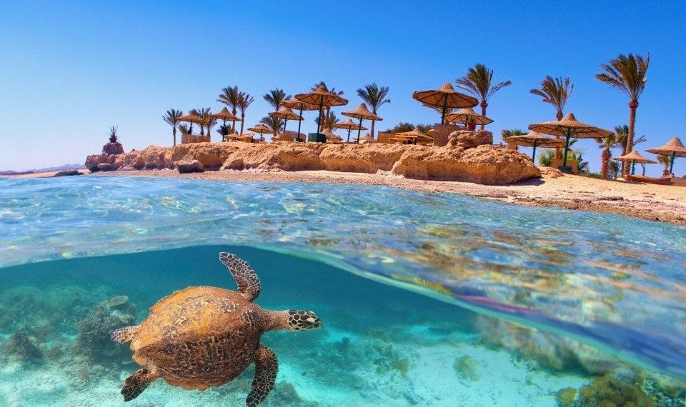 sharm el sheikh, egypt packages